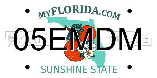 05EMDM Florida License Plate