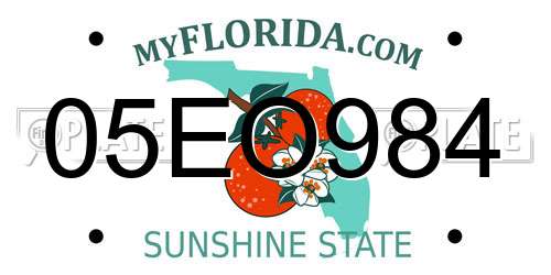 05EO984 Florida License Plate