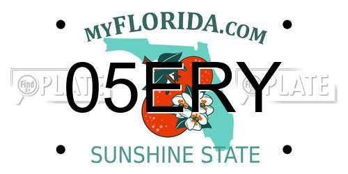 05ERY Florida License Plate