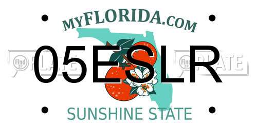 05ESLR Florida License Plate