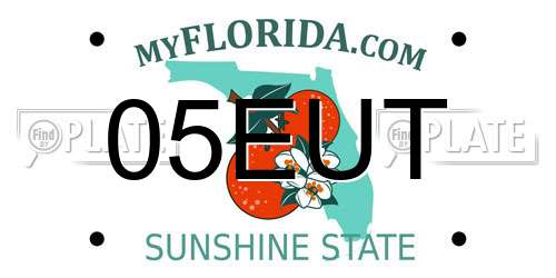 05EUT Florida License Plate