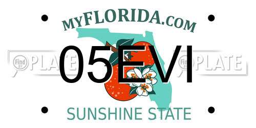 05EVI Florida License Plate