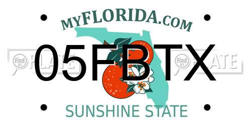 05FBTX Florida License Plate