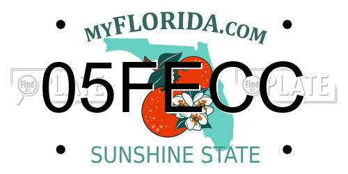 05FECC Florida License Plate