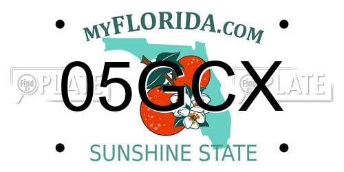 05GCX Florida License Plate