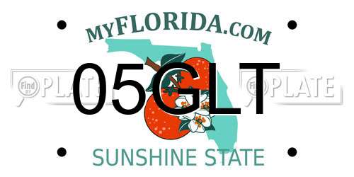 05GLT Florida License Plate
