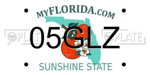 05GLZ Florida License Plate