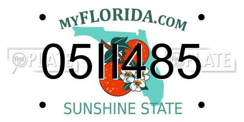 05II485 Florida License Plate
