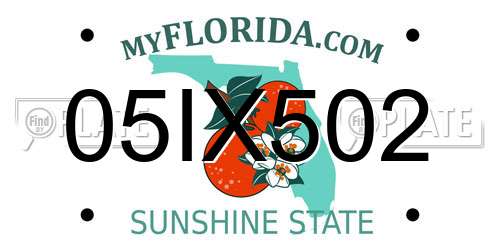 05IX502 Florida License Plate