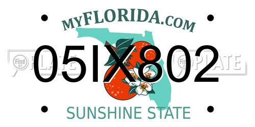 05IX802 Florida License Plate
