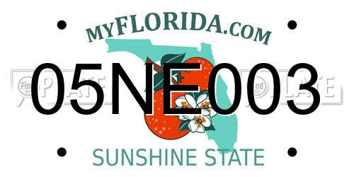 05NE003 Florida License Plate