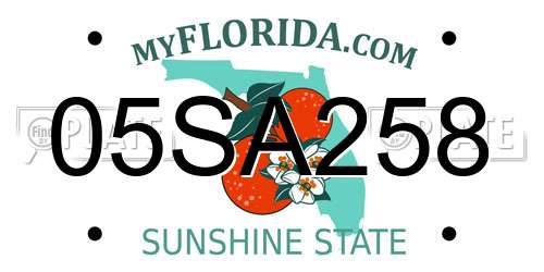 05SA258 Florida License Plate