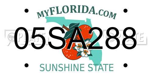 05SA288 Florida License Plate