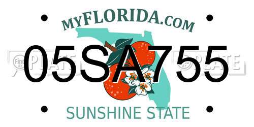 05SA755 Florida License Plate