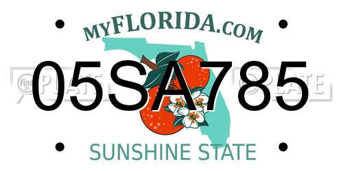 05SA785 Florida License Plate
