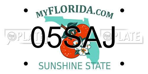 05SAJ Florida License Plate