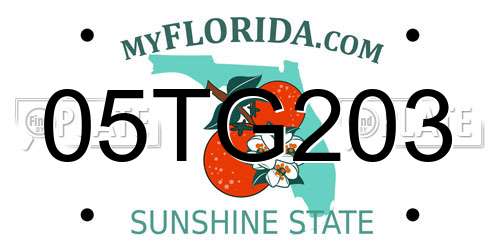 05TG203 Florida License Plate