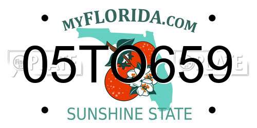 05TO659 Florida License Plate