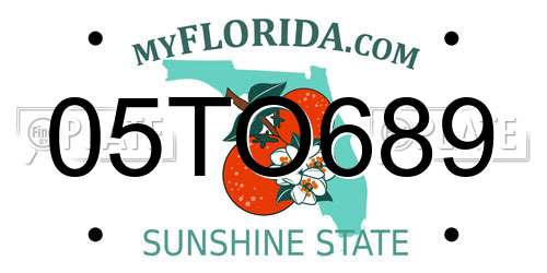 05TO689 Florida License Plate