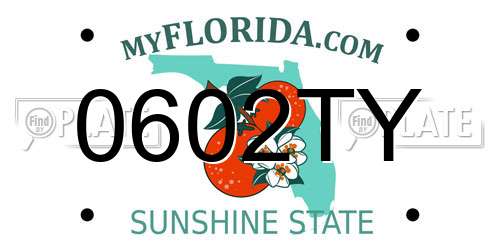 0602TY Florida License Plate