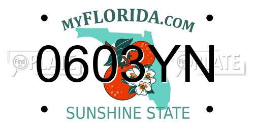 0603YN Florida License Plate
