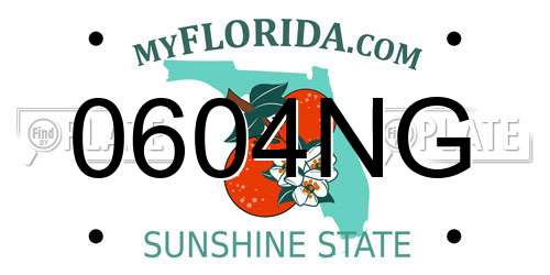 0604NG Florida License Plate