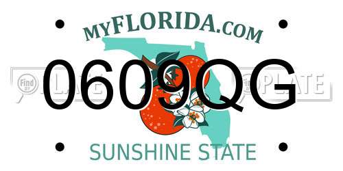 0609QG Florida License Plate