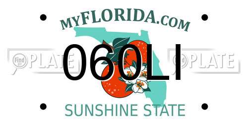 060LI Florida License Plate