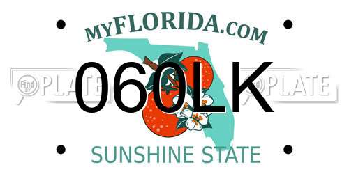 060LK Florida License Plate