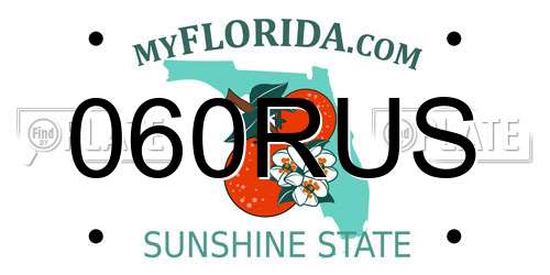 060RUS Florida License Plate