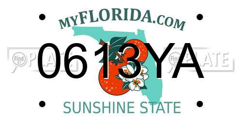 0613YA Florida License Plate