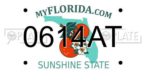 0614AT Florida License Plate