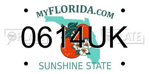 0614UK Florida License Plate