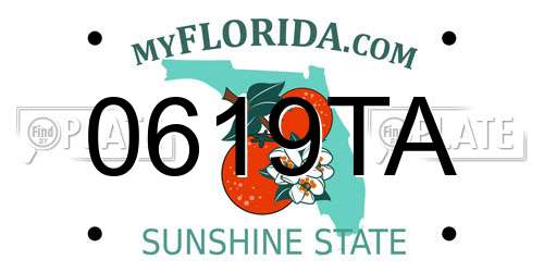 0619TA Florida License Plate