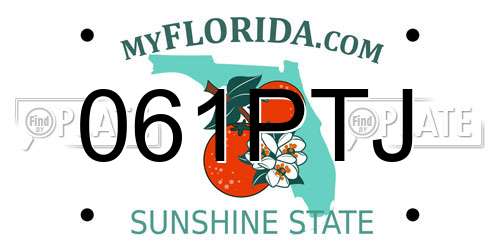 061PTJ Florida License Plate