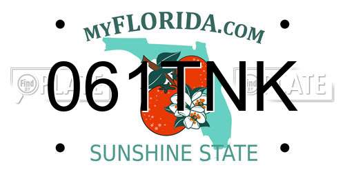 061TNK Florida License Plate