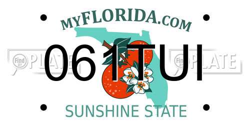 061TUI Florida License Plate