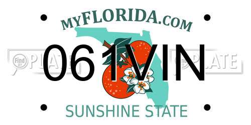 061VIN Florida License Plate