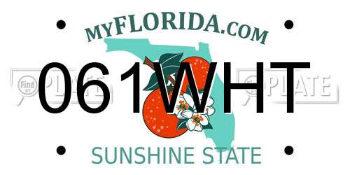061WHT Florida License Plate