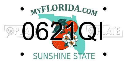 0621QI Florida License Plate