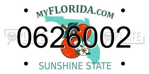 0626002 Florida License Plate