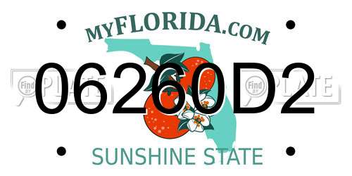 06260D2 Florida License Plate