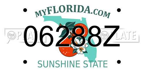 06288Z Florida License Plate