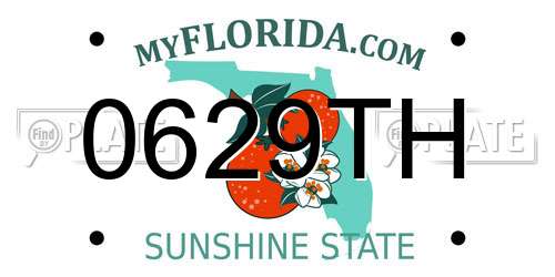 0629TH Florida License Plate