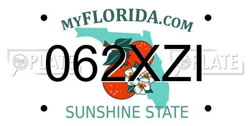 062XZI Florida License Plate