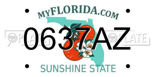 0637AZ Florida License Plate