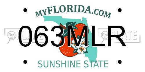 063MLR Florida License Plate