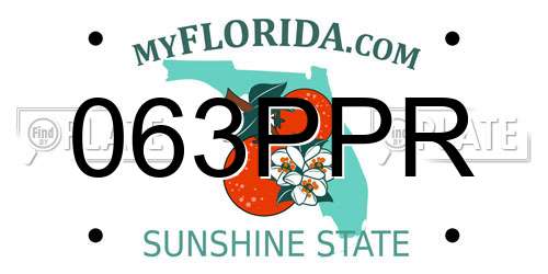 063PPR Florida License Plate