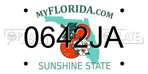 0642JA Florida License Plate
