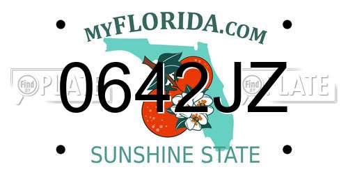 0642JZ Florida License Plate